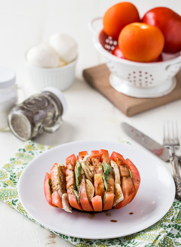 tomato fan